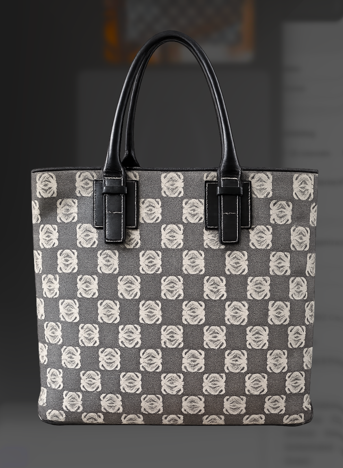 Loewe Anagram Monogram Canvas Tote - back view