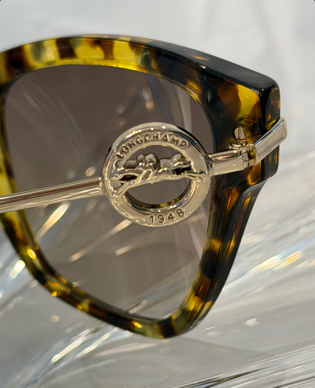 Longchamp 1948 horse-and-rider medallion temple detail close-up in silver-gold
