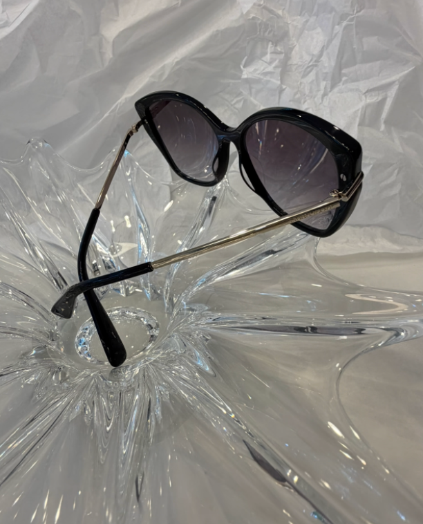 Longchamp LO627S temple detail showing model LO627S 001 57-16 140 #2